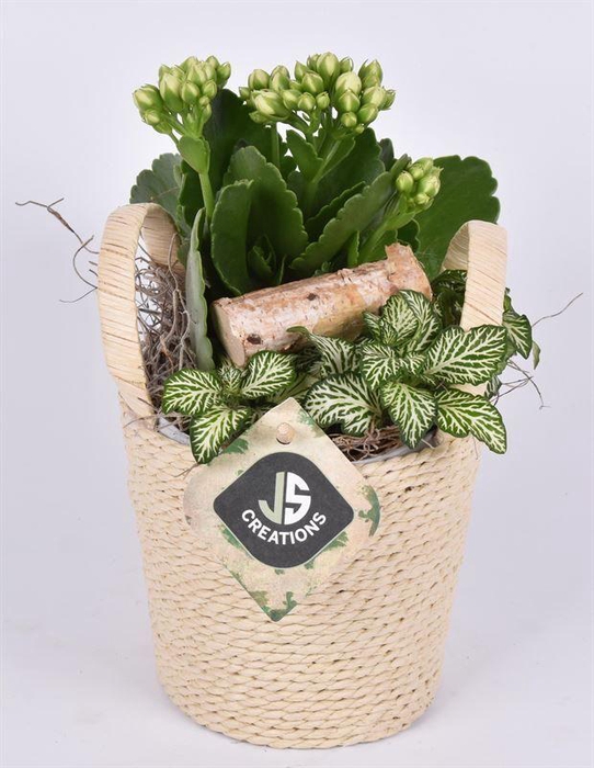 <h4>Raffia pot mand 11.5cm</h4>