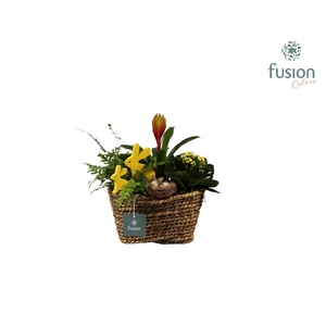 Pasen zeegras mand ovaal klein