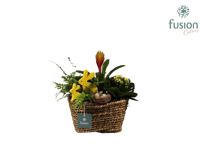 <h4>Pasen zeegras mand ovaal klein</h4>