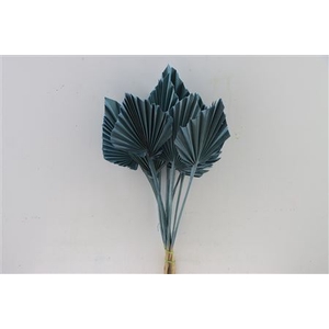 Dried Palm Spear 10pc L Blue Bunch Slv