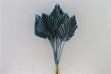 Dried Palm Spear 10pc L Blue Bunch Slv