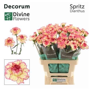 Di St Spritz