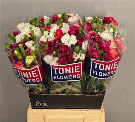 <h4>Di Te Solom Gem Fust</h4>