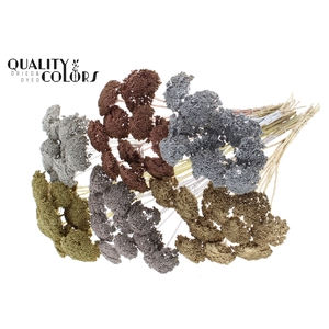 Achillea small per stem Mixed colours Metallic