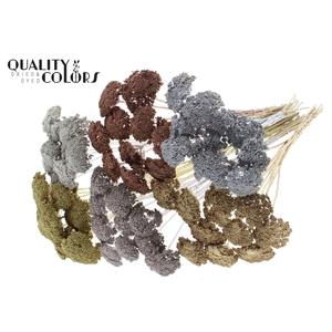 Achillea 2-4cm per stem Mixed colours Metallic