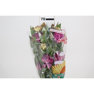 LISIANTHUS NIGHTINGALE 070 CM MIN 500 GRAMAS VINHO
