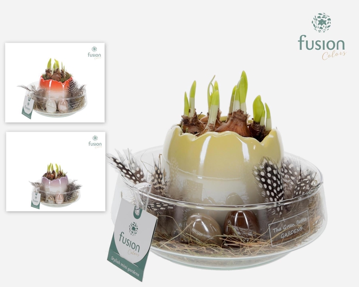 <h4>Green Bottle Iris Medium Pasen met arrangement</h4>