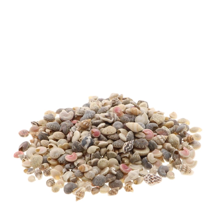 <h4>Shell Ocean 1kg</h4>