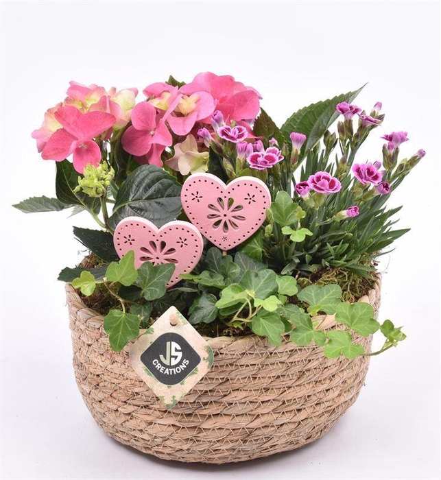 <h4>Touwmand laag 19,5cm</h4>