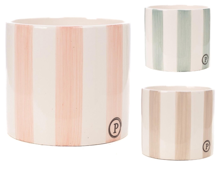 <h4>P&PURE Eline ceramics 3 ass</h4>