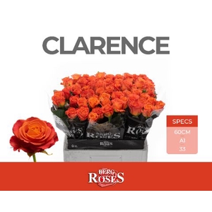 Rozen R GR Clarence