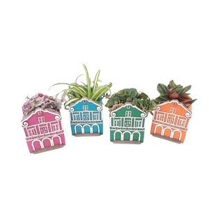 Planten  ..in schaal L%