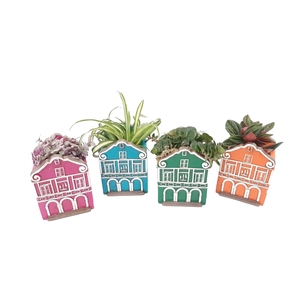 Planten  ..in schaal L%