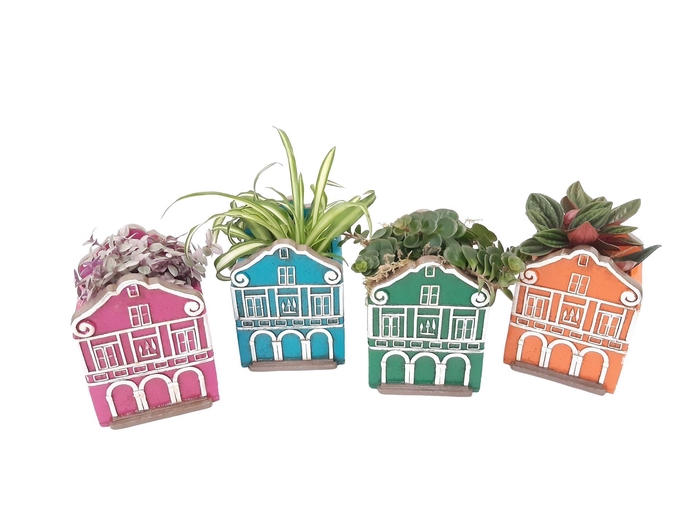 <h4>Planten  ..in schaal L%</h4>