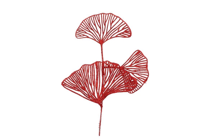 <h4>Pick Shine Lotus Jolly Red 40cm Per 12</h4>