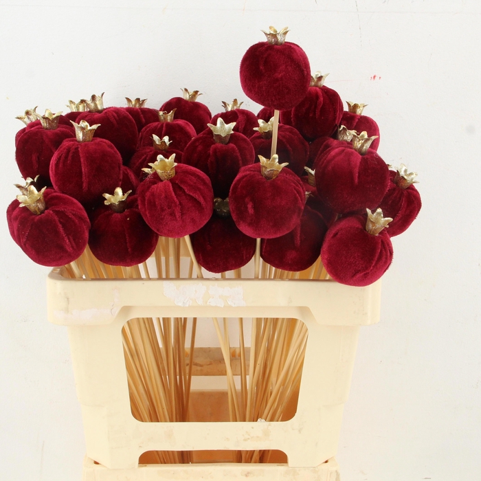 <h4>HUIS EN TUINDECO H%</h4>