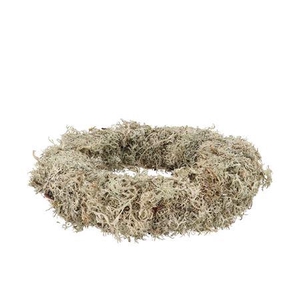 Nature Wreath Dry White Moss 40cm