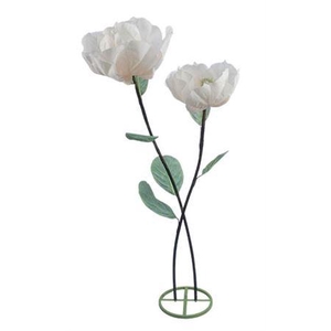 Stem Double Magnolia H160d50