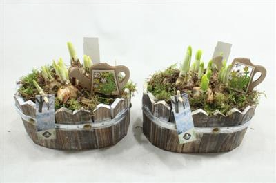 <h4>21255 WW OVAAL TETE</h4>