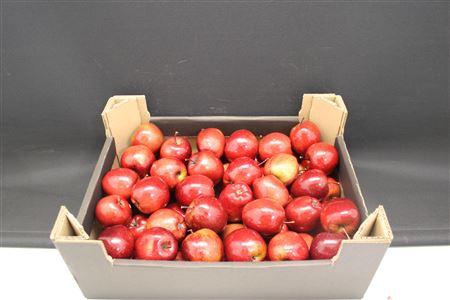 <h4>F-appels Rood Lak</h4>