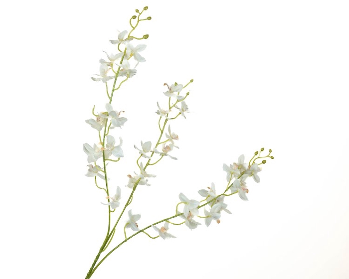 <h4>Dendrobium Orchid White</h4>