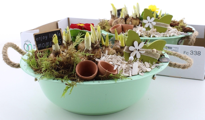 <h4>ARR PL IN SCHAAL</h4>