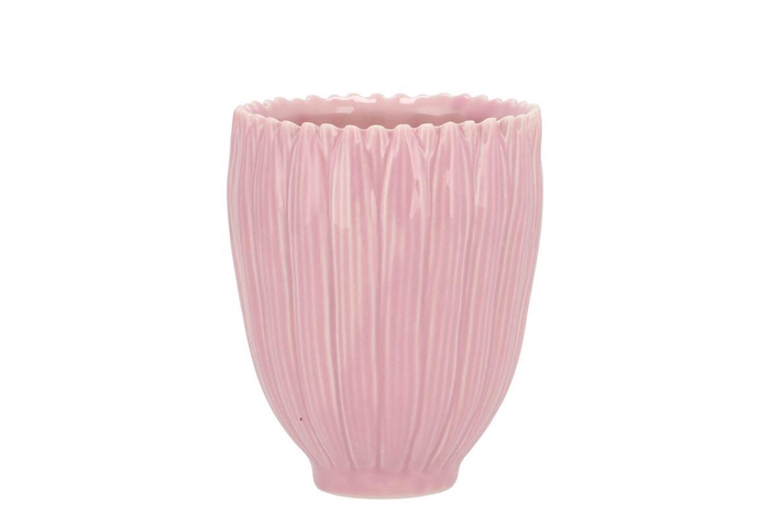 <h4>Bloom Daisy Dreamy Pink Cup 9x9x11cm Nm</h4>