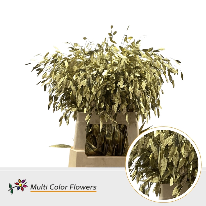 <h4>SIERGR OV KLB H%</h4>