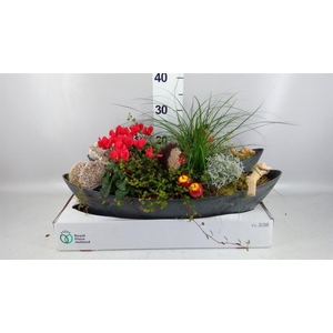 Arr.   Tuinplanten L%