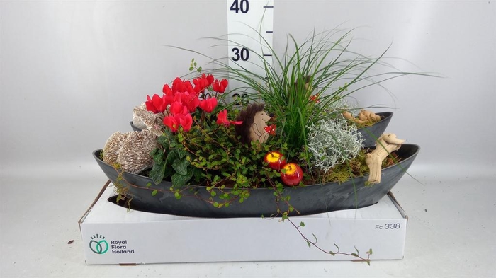 <h4>Arr.   Tuinplanten L%</h4>