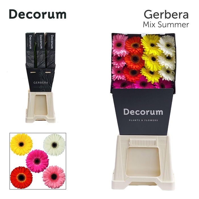 <h4>GE GR MIXED SUMMER Diamond per kaart</h4>