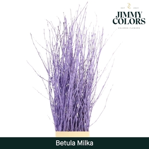 Betula L120 Milka