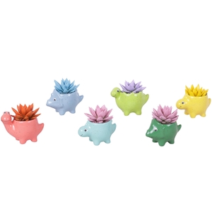 Thank you Teacher Arr. Succulent Ceramic Pot Dinosaur Ø12cm 1PP