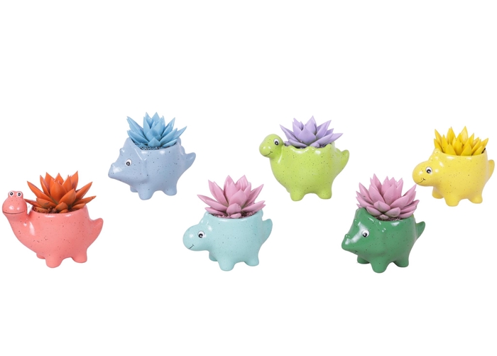 <h4>Thank you Teacher Arr. Succulent Ceramic Pot Dinosaur Ø12cm 1PP</h4>
