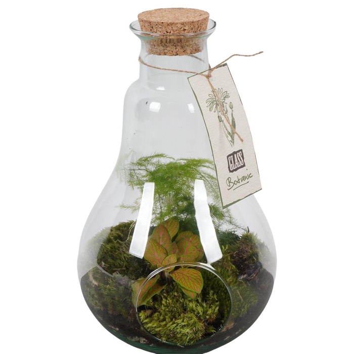 <h4>PTGIG2147 Arrangement Greens in glass in glazen fles</h4>