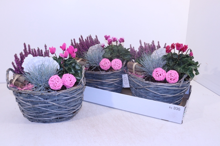 <h4>ARR TUINPLANTEN</h4>