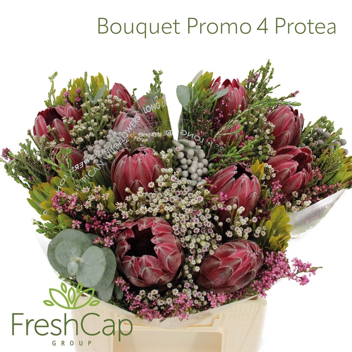 <h4>Bouquet Promo 4 Protea</h4>