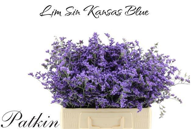 <h4>LIM SIN KANSAS BLUE</h4>