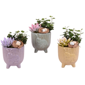 Easter Arr. Indoor Ceramic Pot Round Rabbit Feet Ø14cm 2PP