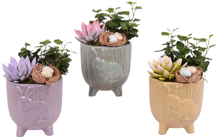 <h4>Easter Arr. Indoor Ceramic Pot Round Rabbit Feet Ø14cm 2PP</h4>