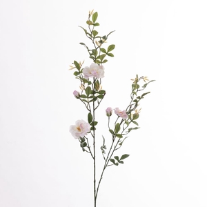 AF Rosa Wild L131cm White