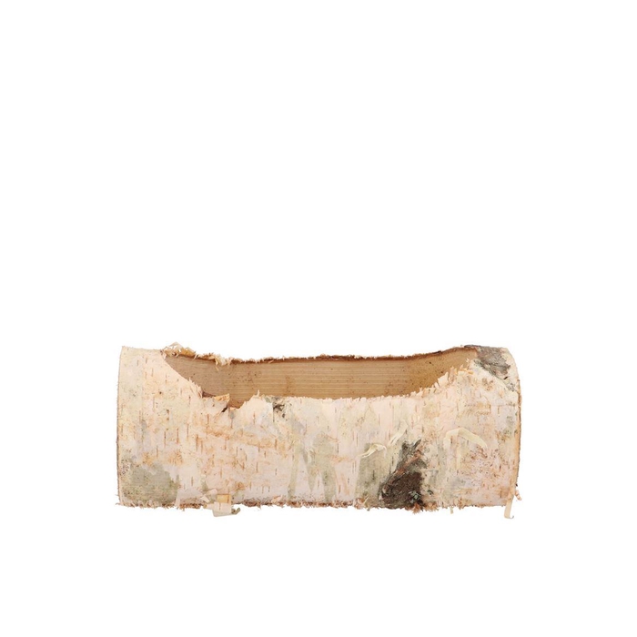 <h4>Nature Birch Planter 19x10x9cm</h4>