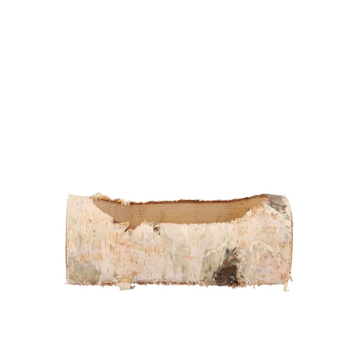 <h4>Nature Birch Planter 19x10x9cm</h4>