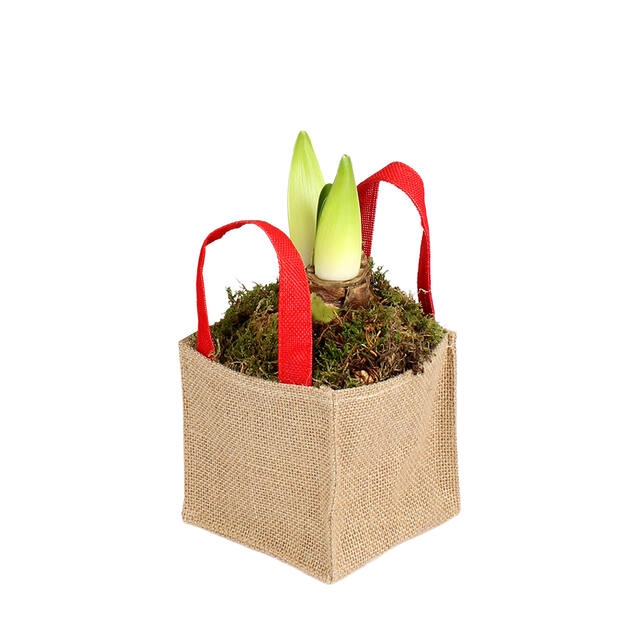 <h4>Bag Foxy jute 12.5x12.5xH12.5 red 30/bun</h4>