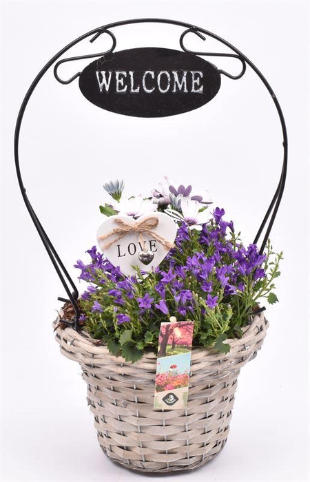 <h4>Wilg henselmand ''Welcome'' 19x44cm</h4>