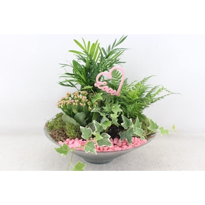 arr2 PL - Glas schaal 30cm - roze