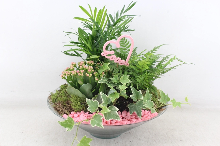 <h4>arr2 PL - Glas schaal 30cm - roze</h4>