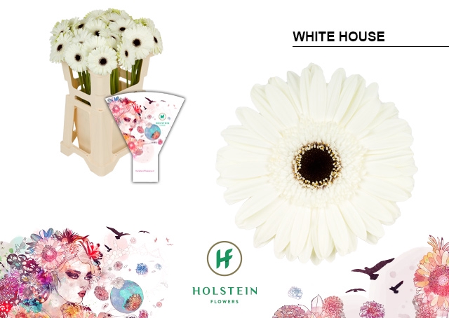 <h4>GE GR White House emmer hoes x40</h4>