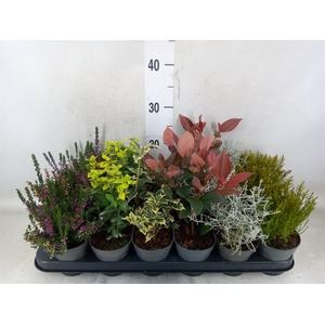 Heesters   ...mix          [Scrubs]