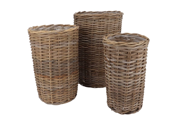 <h4>Rattan Ivy Natural Cilinder Set 3 23x40/27x45//34x50cm</h4>